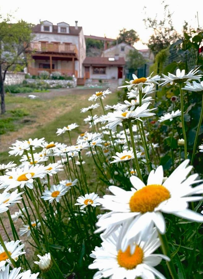 Alojamiento Gaia Aldeasona Esterno foto
